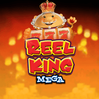 Reel King Mega icon